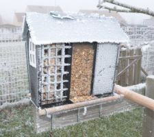Il a fait froid, ce 31/12/2016. Pour les oiseaux, venir manger en plein vent...