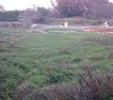 Une petite vue d'ensemble de notre terrain.