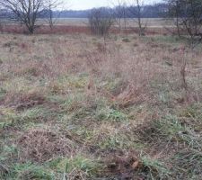 Terrain avec implantation