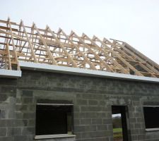 Mise en place de la charpente.....ca avance sans soucis particulier!!