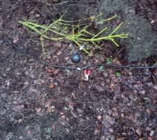 Test de la r&eacute;sistivit&eacute; du terrain &agrave; divers endroits