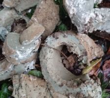 Argile verte &agrave; environ 7 m&egrave;tres de profondeur