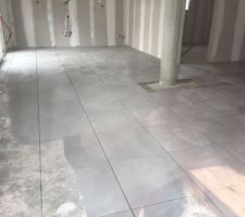 Carrelage de la maison en carreau 50x50 Gris clair de chez Nivault. 
<br />

<br />
Super content du rsultat. Juste une petite erreur de carreau dans la salle de bain du 1er