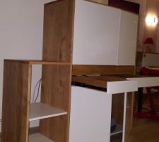 Nouveau Bureau-Rangement-Petit coin à chats