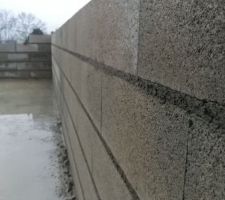 Murs int&eacute;rieurs (partie habitation).