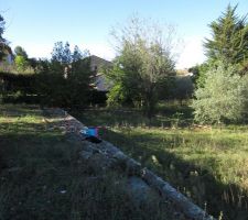 Petit terrain arbor&eacute; avec une restanque