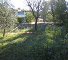 Petit terrain arbor&eacute; avec une restanque