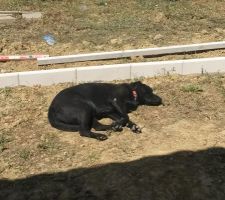 Pendant la construction de la terrasse! (c'est mieux la terre a priori!)