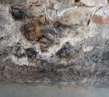Humidité cave