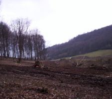 La lisiere de la foret, maintenant 20 metres plus loin