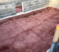 Produit anti-termites