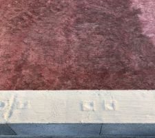 Produit anti-termites