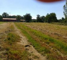 Voici le terrain vu du fond.200m de long!