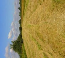 Vue du bord de la route.