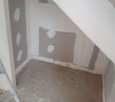 Niche en dessous des escalier