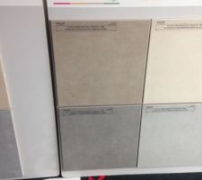 Choix carrelage : move taupe