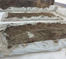 Terrain et terrassement et vide sanitaire gros oeuvre
