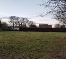 Entr&eacute;e du terrain