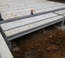 Petit chemin de la terrasse vers le garage sur vides sanitaires