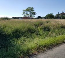 La hauteur de l'herbe commen&ccedil;ait &agrave; nous faire peur... vivement qu'on ai sign&eacute; pour pouvoir d&eacute;broussailler !!