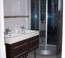 La douche et le lavabo