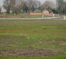 Voici une photo de notre terrain. Y'a plus qu'à y mettre une maison...