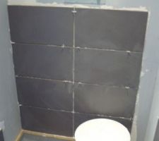 D&eacute;but faience dans SDE