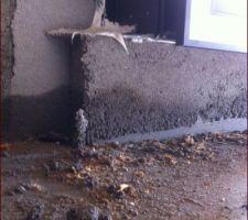 Infiltration d'eau qui semble venir du sol car l'humidité ne touche pas les rebords des menuiseries