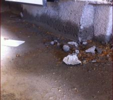 Infiltration d'eau qui semble venir du sol car l'humidité ne touche pas les rebords des menuiseries