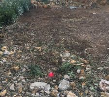 Implantation de la maison