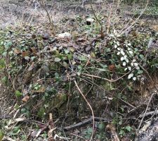 Photo du puit d'un peut plus pr&egrave;s