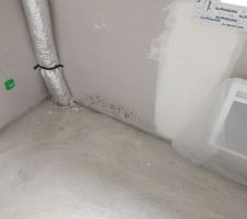 Photos de petits champignons dû à l'humidité de la chape, un simple passage de la main les enlève.