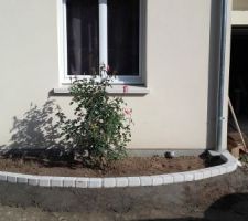 Remplacement bordure autour du rosier