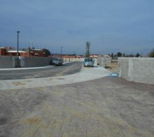 Mise en place des arbres près des places de stationnement