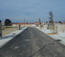 Mise en place des arbres près des places de stationnement et crépi des murs de propriété