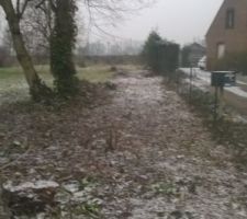 Notre all&eacute;e d&eacute;brouissaill&eacute;e