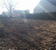 Terrain apr&egrave;s abattage des arbres