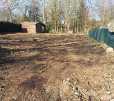 Terrain apr&egrave;s abattage des arbres