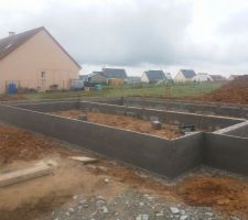 Début vide sanitaire