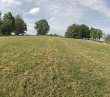 Terrain