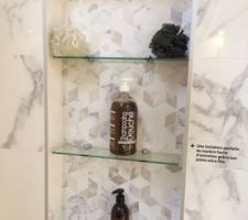 Une niche de ce style avec des étagères en verre...