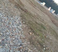 Terrain avant terrassement