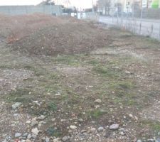 Terrain avant terrassement