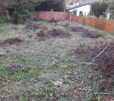 Nettoyage du terrain