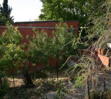 Poulailler des voisins