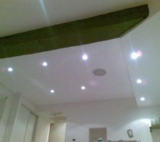 Les spots et haut parleur au plafond