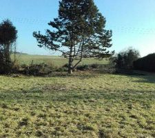 Notre terrain de 1543m2.