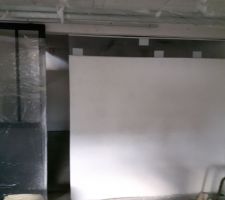 Peinture mur buanderie et mise en place de la porte d'atelier moitié verre/bois