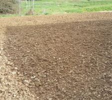 Préparation du terrain avant semage du gazon
