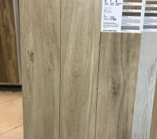 Carrelage Imitation parquet